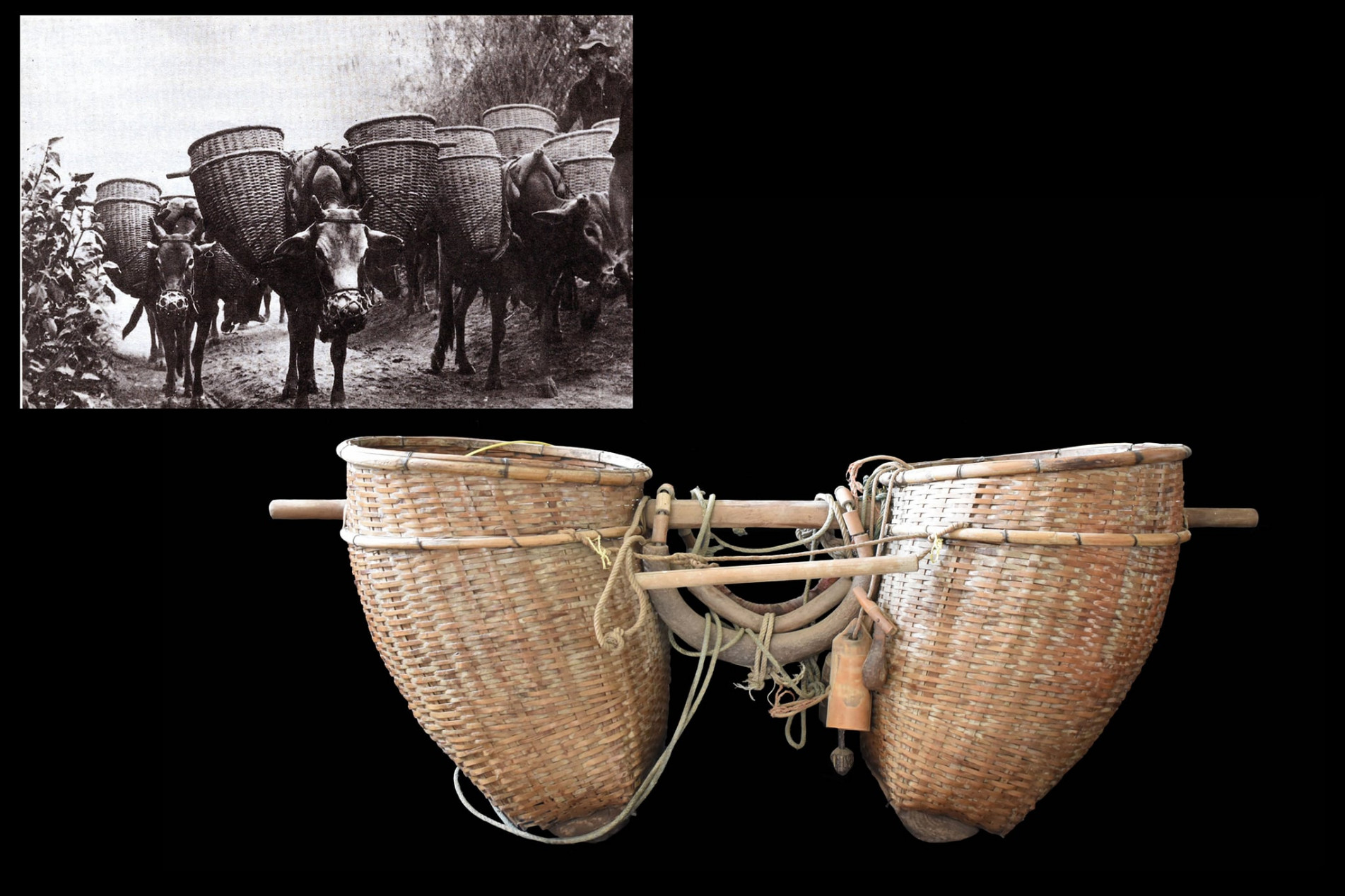 ภาพประกอบ ความรู้ทั่วไป