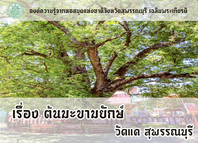 ภาพประกอบ ความรู้ทั่วไป
