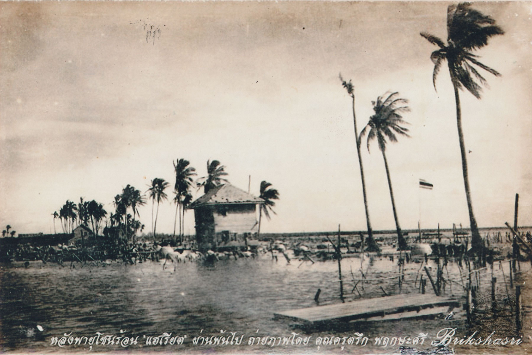 ภาพประกอบ ความรู้ทั่วไป