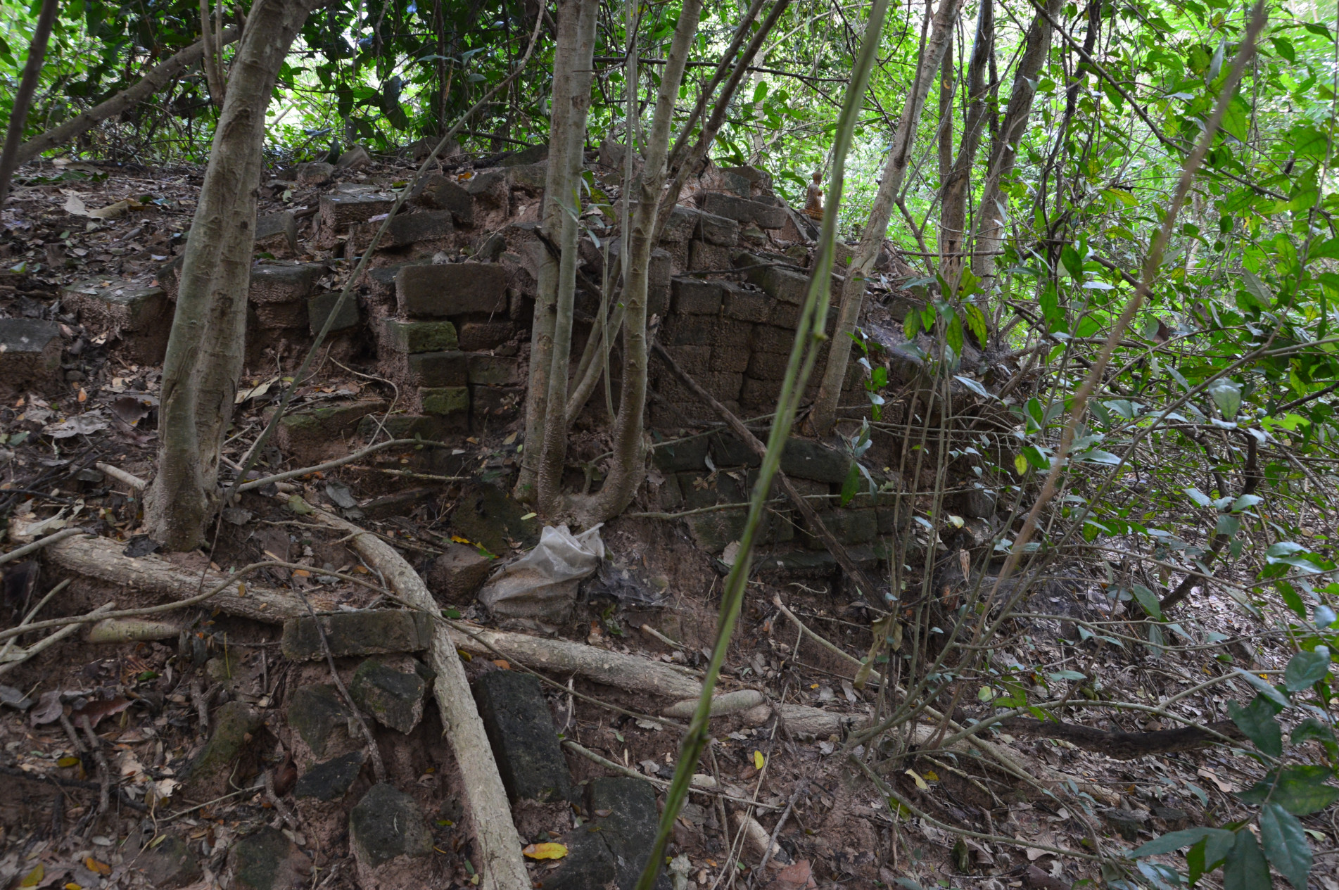 ภาพประกอบ ข่าวประชาสัมพันธ์