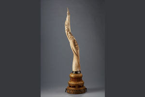 ภาพประกอบ ความรู้ทั่วไป