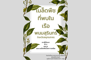 ภาพประกอบ ความรู้ทั่วไป