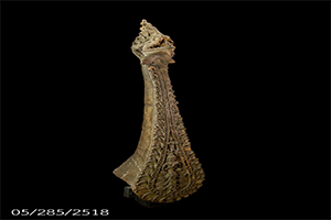 ภาพประกอบ ความรู้ทั่วไป