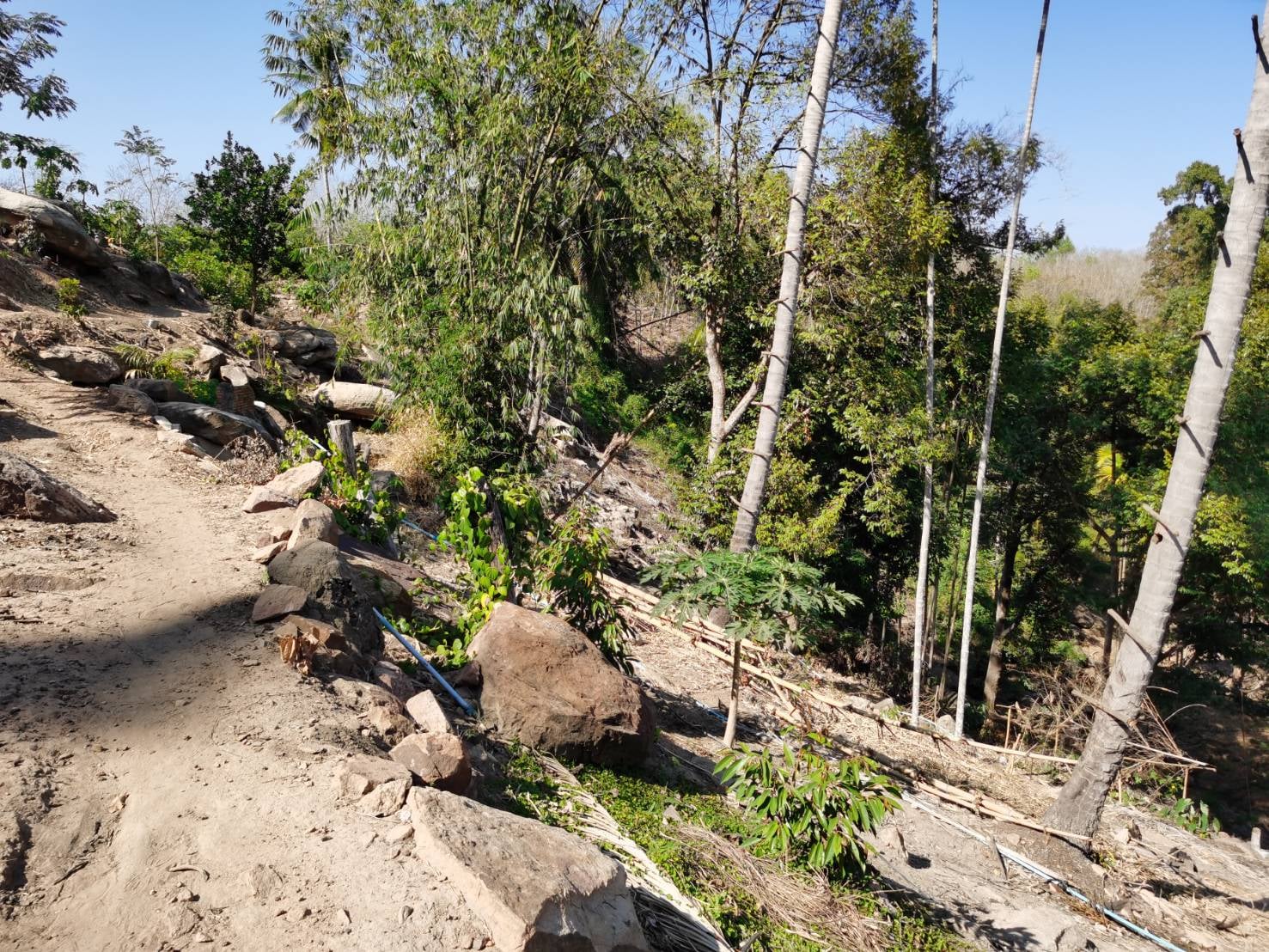 ภาพประกอบ ข่าวประชาสัมพันธ์