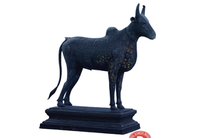 ภาพประกอบ ความรู้ทั่วไป