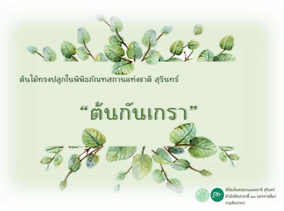 ภาพประกอบ ข่าวประชาสัมพันธ์