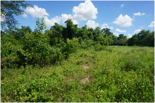 ภาพประกอบ ข่าวประชาสัมพันธ์