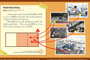 ภาพประกอบ ความรู้ทั่วไป