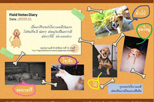 ภาพประกอบ ความรู้ทั่วไป
