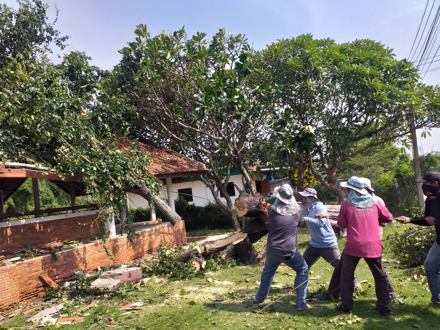 ภาพประกอบ ข่าวประชาสัมพันธ์