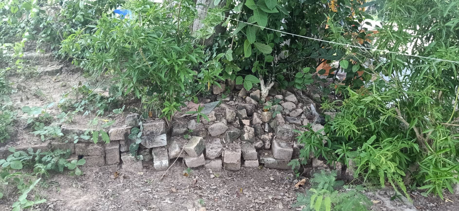 ภาพประกอบ ข่าวประชาสัมพันธ์