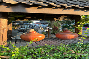 ภาพประกอบ ความรู้ทั่วไป