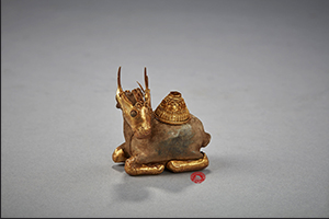 ภาพประกอบ ความรู้ทั่วไป