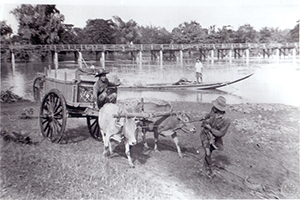 ภาพประกอบ ความรู้ทั่วไป