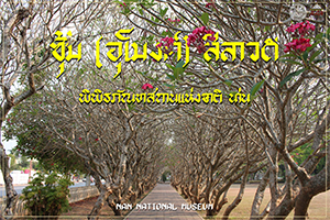 ภาพประกอบ ความรู้ทั่วไป