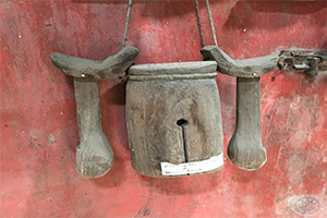 ภาพประกอบ ความรู้ทั่วไป