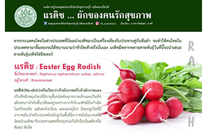 ภาพประกอบ ความรู้ทั่วไป