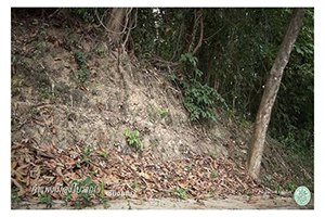 ภาพประกอบ ความรู้ทั่วไป