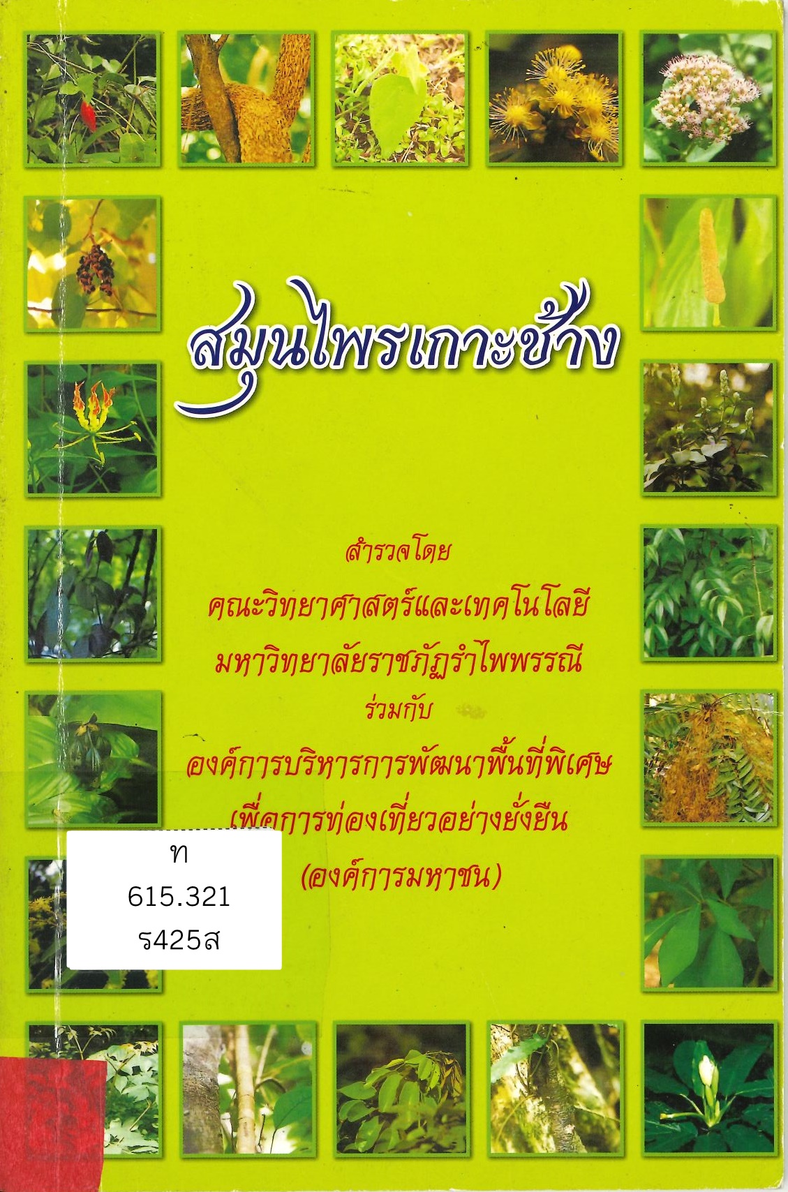 ภาพประกอบ แนะนำหนังสือใหม่