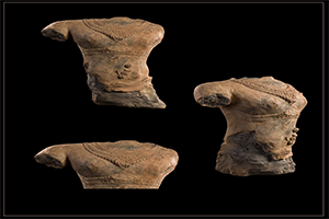 ภาพประกอบ ความรู้ทั่วไป