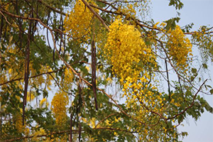 ภาพประกอบ ความรู้ทั่วไป