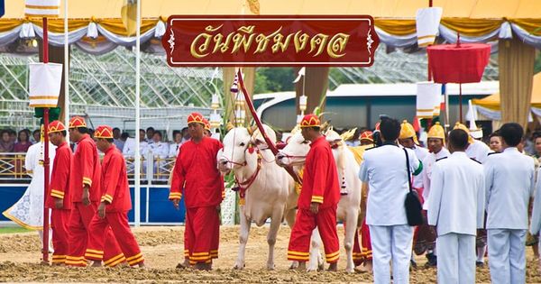 ภาพประกอบ ความรู้ทั่วไป