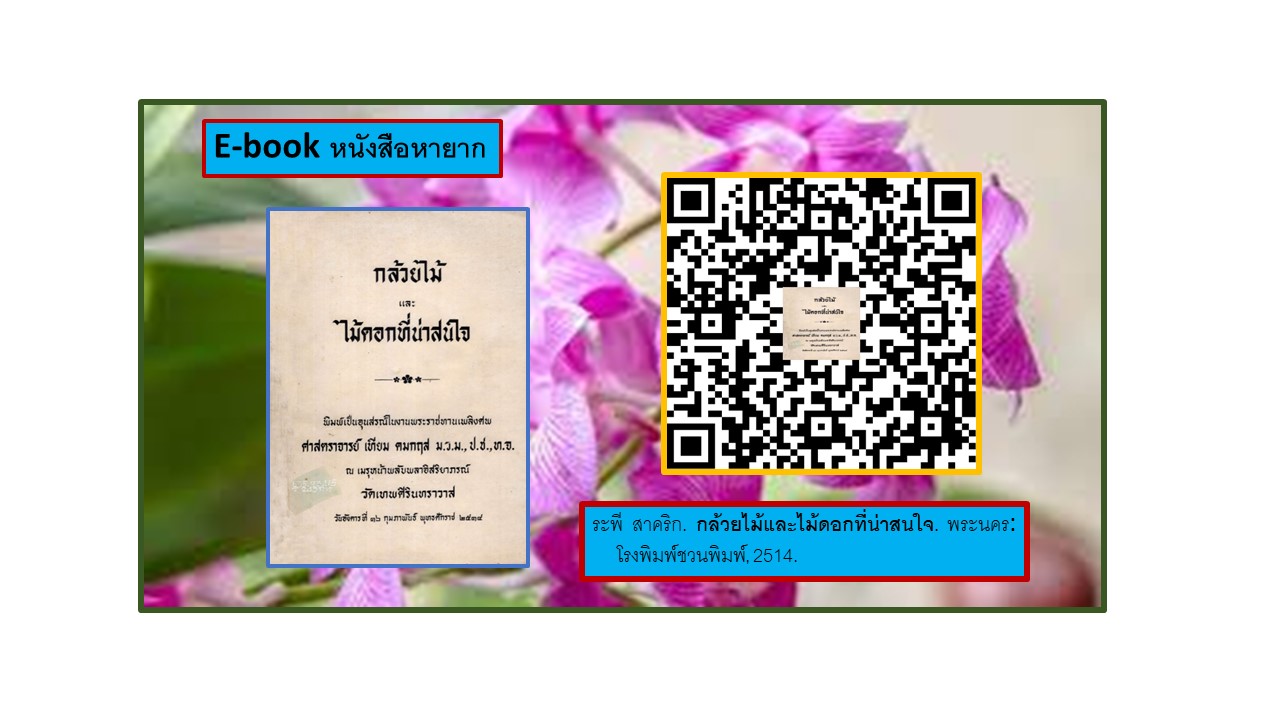 ภาพประกอบ แนะนำหนังสือใหม่