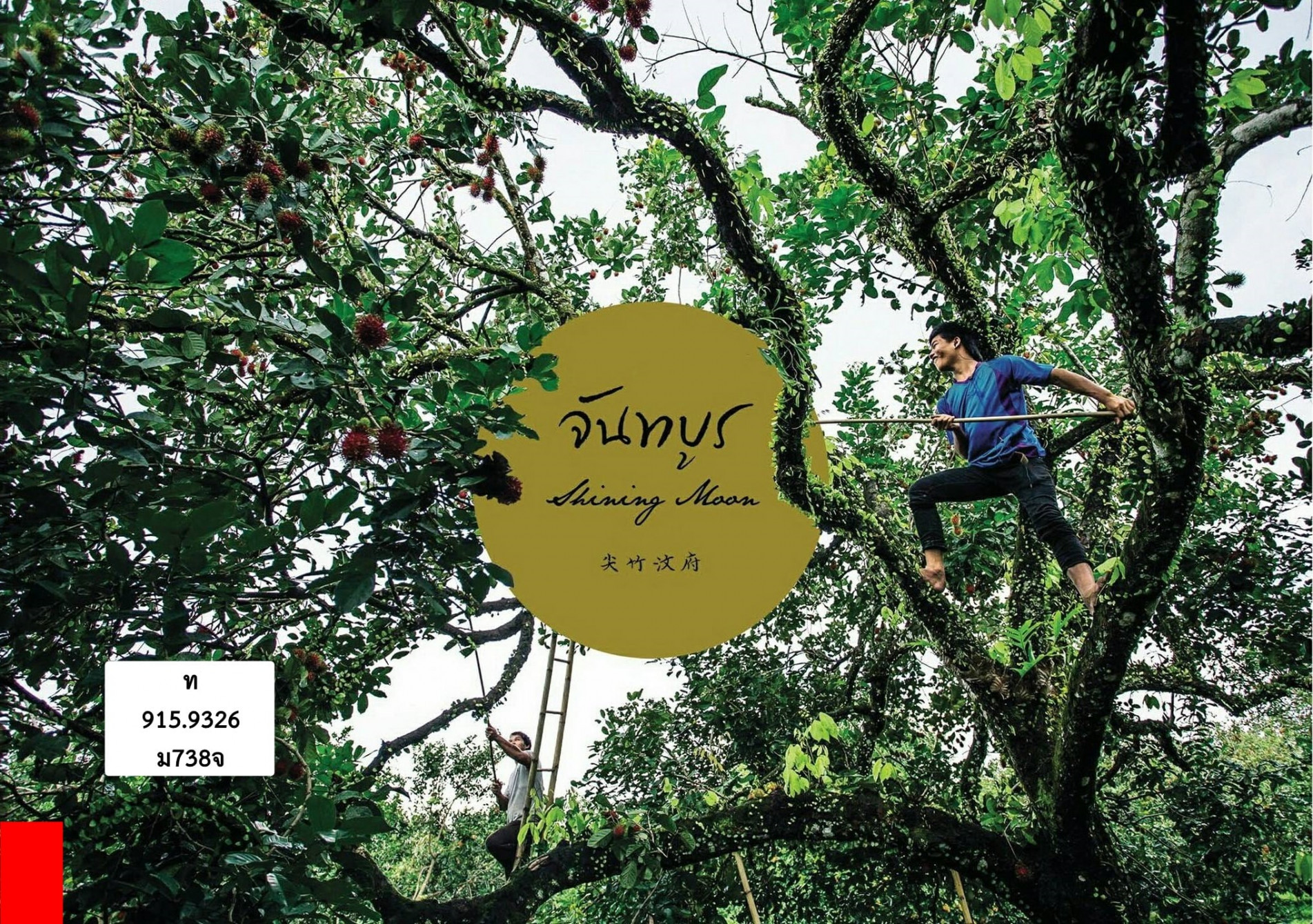 ภาพประกอบ ความรู้ทั่วไป