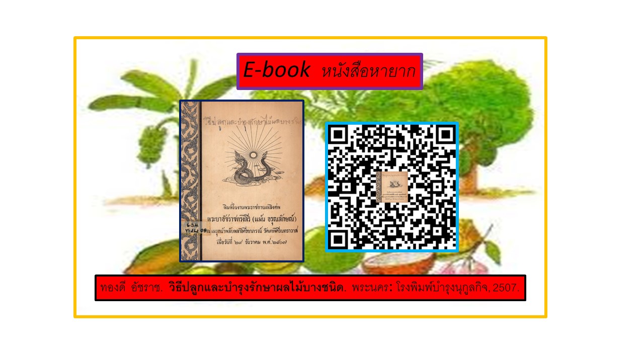 ภาพประกอบ แนะนำหนังสือใหม่