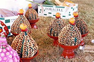 ภาพประกอบ ความรู้ทั่วไป