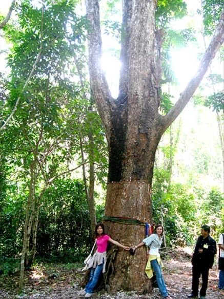 ภาพประกอบ ความรู้ทั่วไป