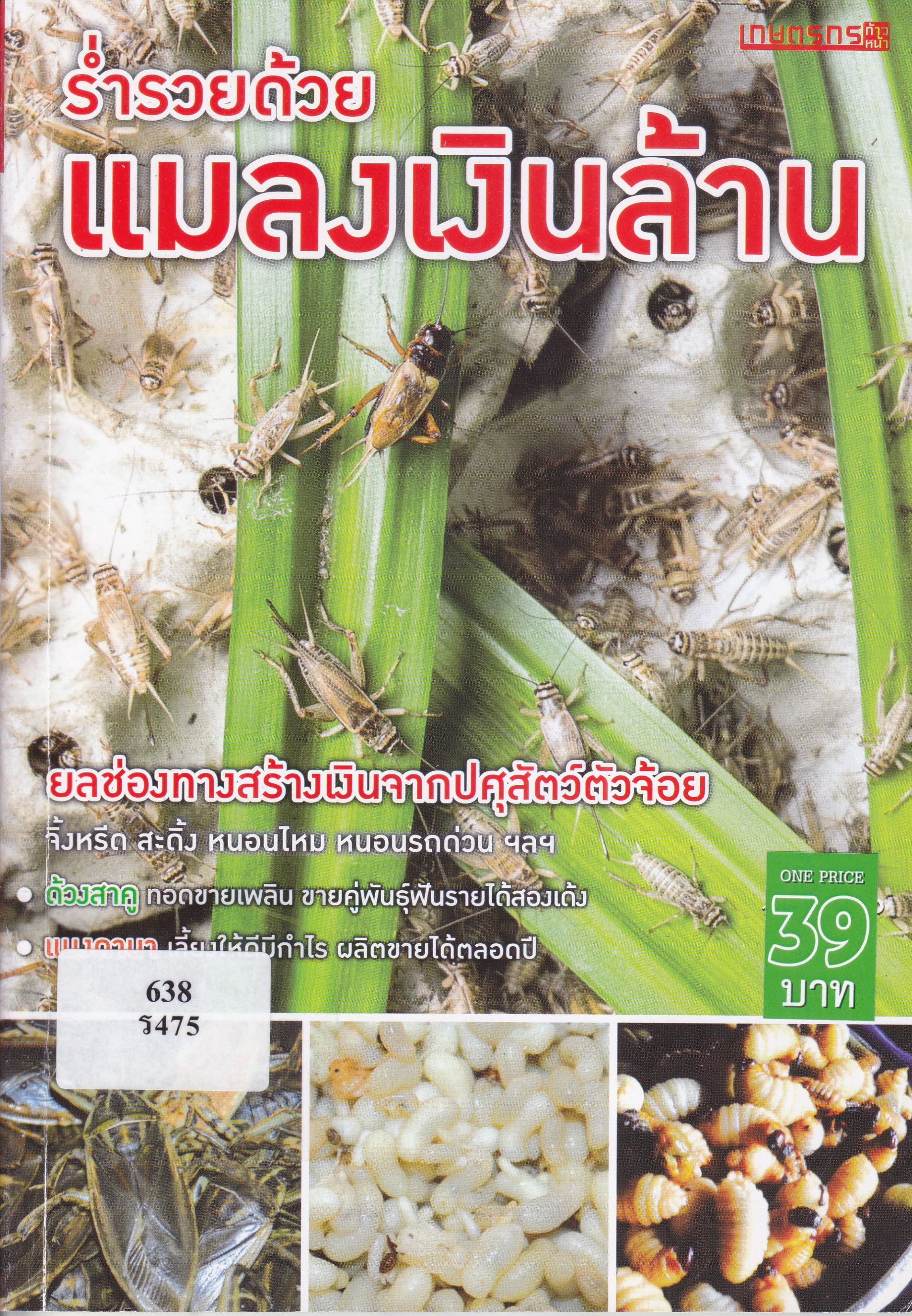 ภาพประกอบ แนะนำหนังสือใหม่