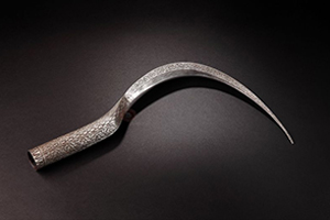 ภาพประกอบ ความรู้ทั่วไป