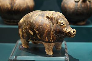 ภาพประกอบ ความรู้ทั่วไป