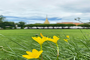 ภาพประกอบ ความรู้ทั่วไป