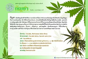 ภาพประกอบ ความรู้ทั่วไป