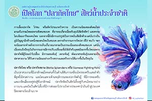 ภาพประกอบ ความรู้ทั่วไป