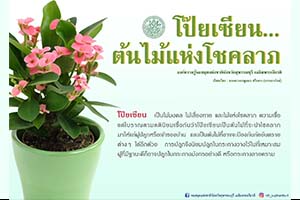 ภาพประกอบ ความรู้ทั่วไป