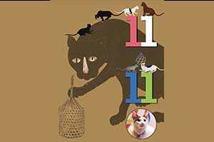 ภาพประกอบ ความรู้ทั่วไป