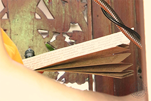 ภาพประกอบ ความรู้ทั่วไป