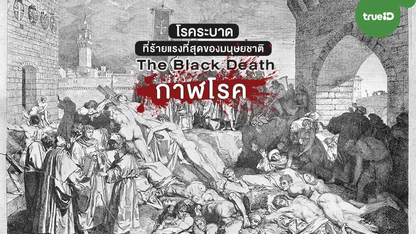 ภาพประกอบ ความรู้ทั่วไป