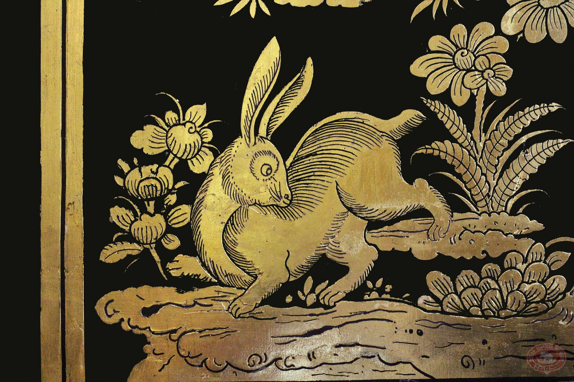 ภาพประกอบ ความรู้ทั่วไป