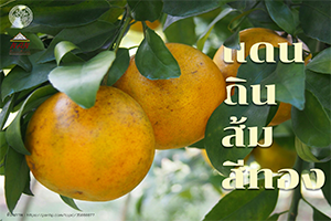 ภาพประกอบ ความรู้ทั่วไป