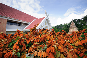 ภาพประกอบ ความรู้ทั่วไป