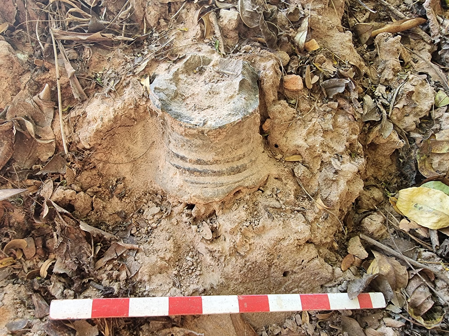 ภาพประกอบ ความรู้ทั่วไป