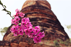 ภาพประกอบ ความรู้ทั่วไป