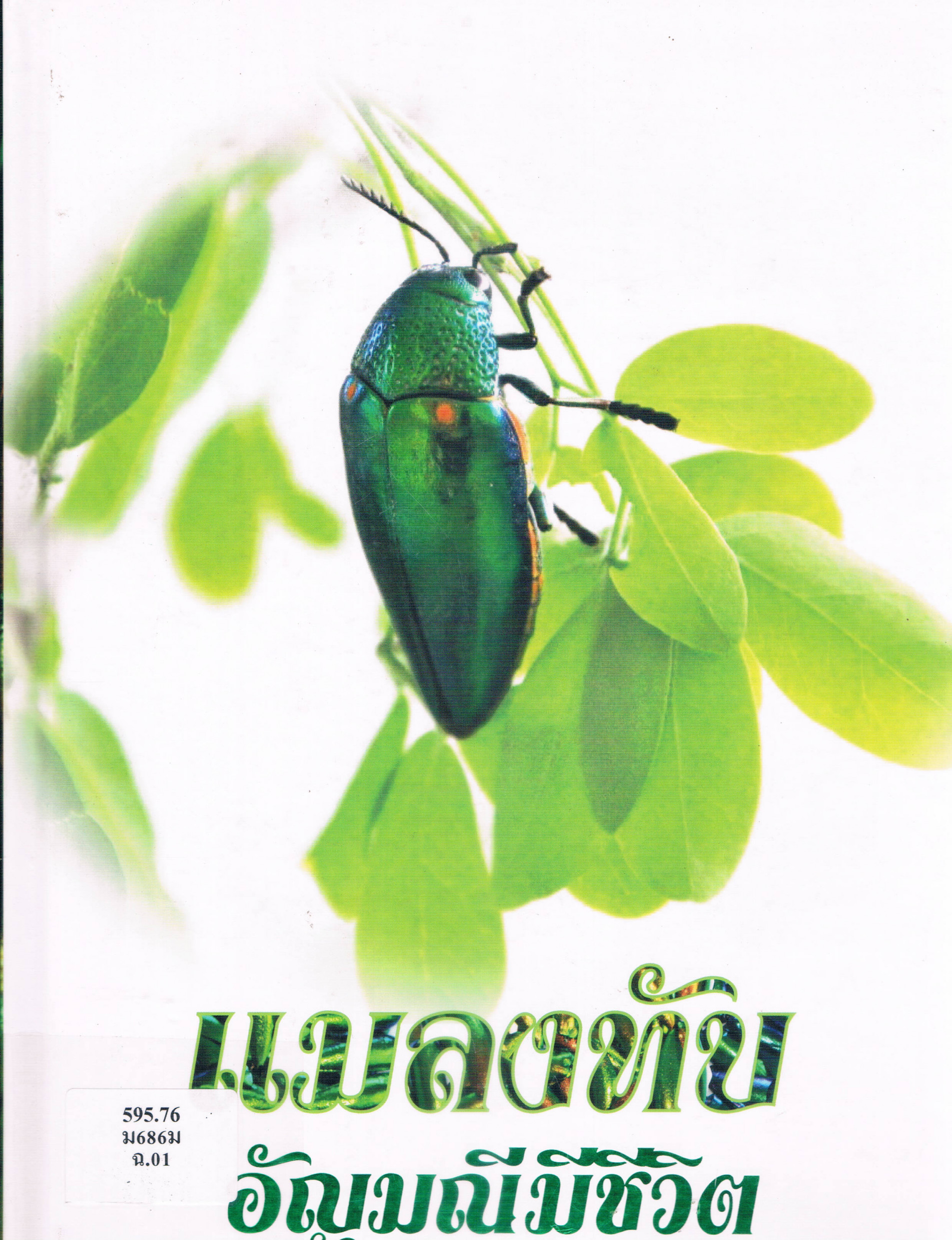 ภาพประกอบ แนะนำหนังสือใหม่