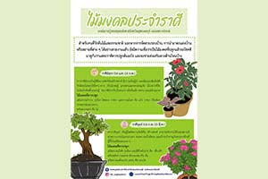 ภาพประกอบ ความรู้ทั่วไป