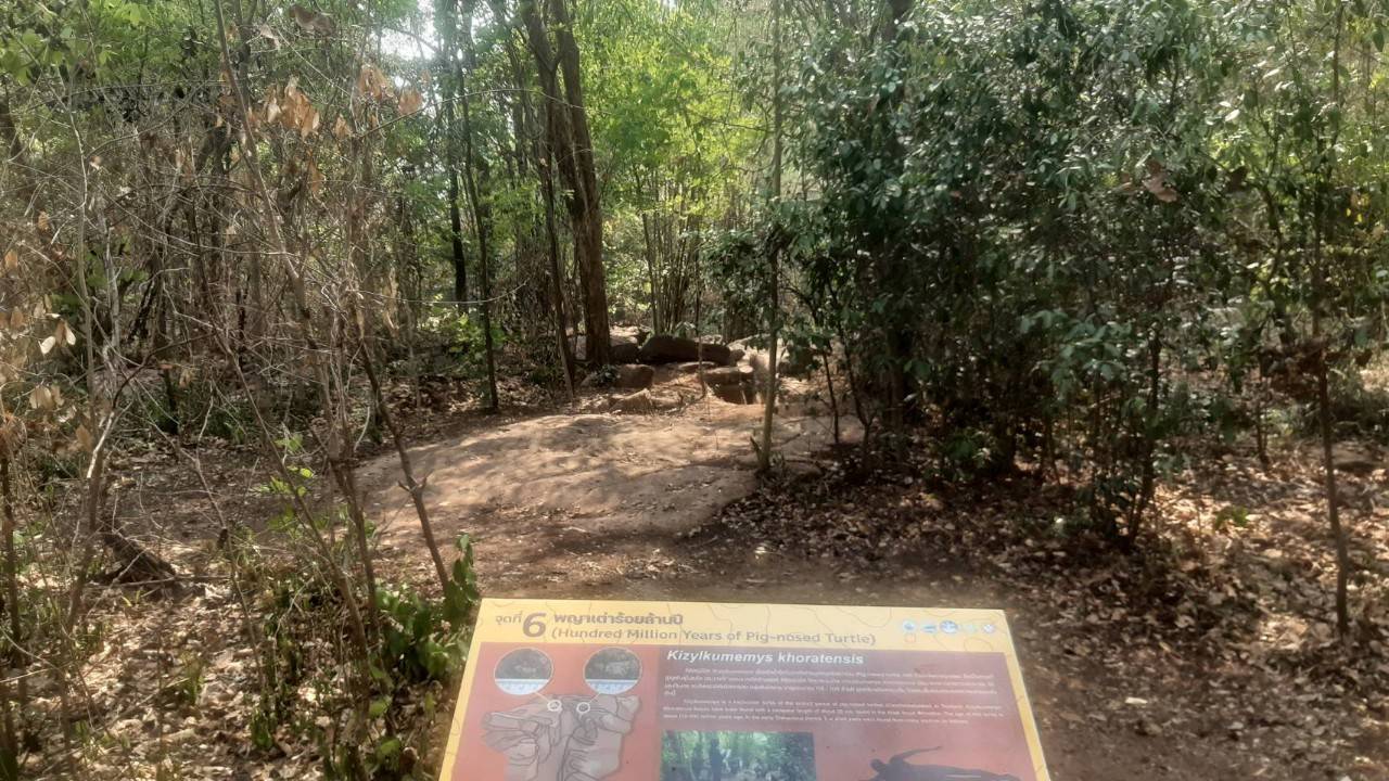 ภาพประกอบ ข่าวประชาสัมพันธ์