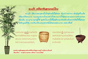 ภาพประกอบ ความรู้ทั่วไป